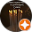 Firuza Mukaramova avatar